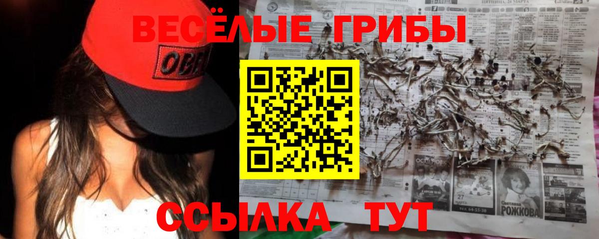 Галлюциногенные грибы Cubensis Слободской